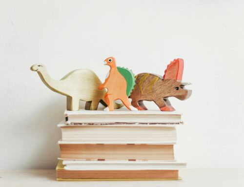 Sacrilège!  Les livres sont rangés dans les coins?! Qu’enseigne-t-on aux enfants dans ce groupe?